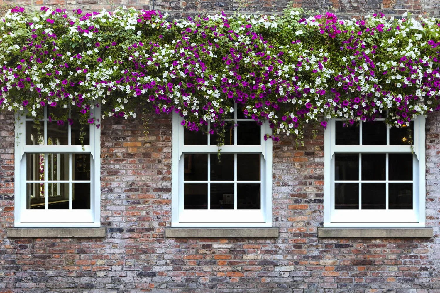 uPVC Sliding Sash Windows