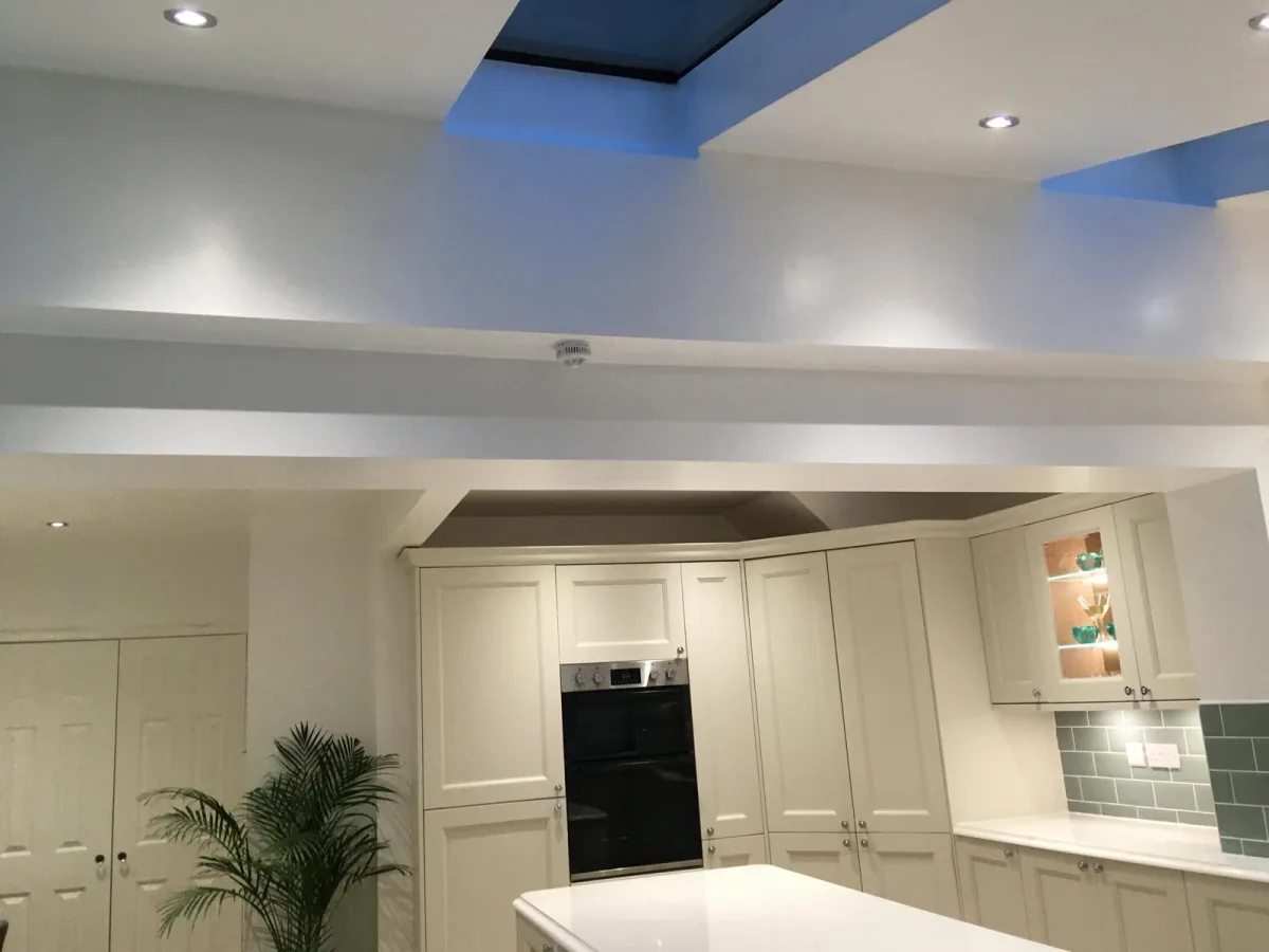Rear Extension and Kitchen Project